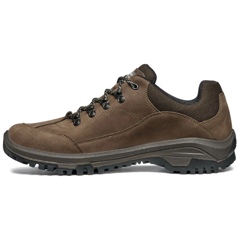 SCARPA Mens walking Cyrus GTX Shoes (Brown)